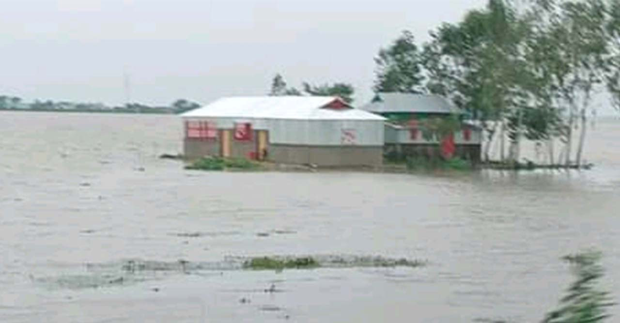 হবিগঞ্জের বানিয়াচংয়ে মুষলধারে বৃষ্টি ও পাহাড়ী ঢলের পানিতে একের পর এক ডুবছে হাওর